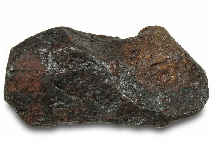 Canyon Diablo Iron Meteorite ( g) - Arizona #319658